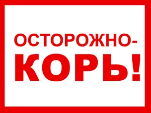 Осторожно, корь!