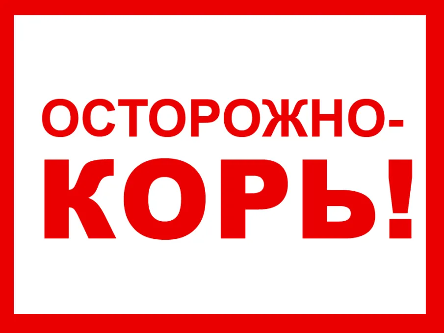 Осторожно, корь!