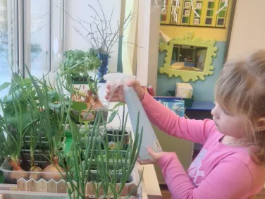 Первый урожай!!!