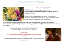 Служба системной медиации ГБОУ